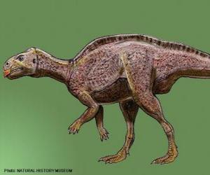 yapboz Zalmoxes 65 milyon yıl önce yaşamış